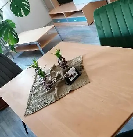 Schrammi's Ferienwohnung *