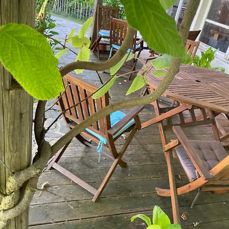 Schrammi's * Schwanau