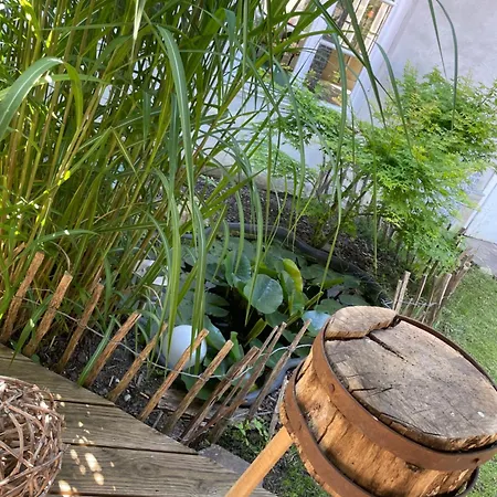 Schrammi's Apartamento