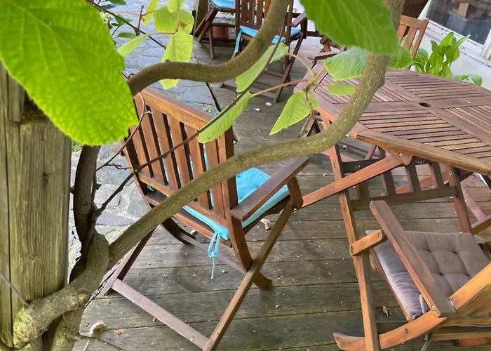 Schrammi's * Schwanau