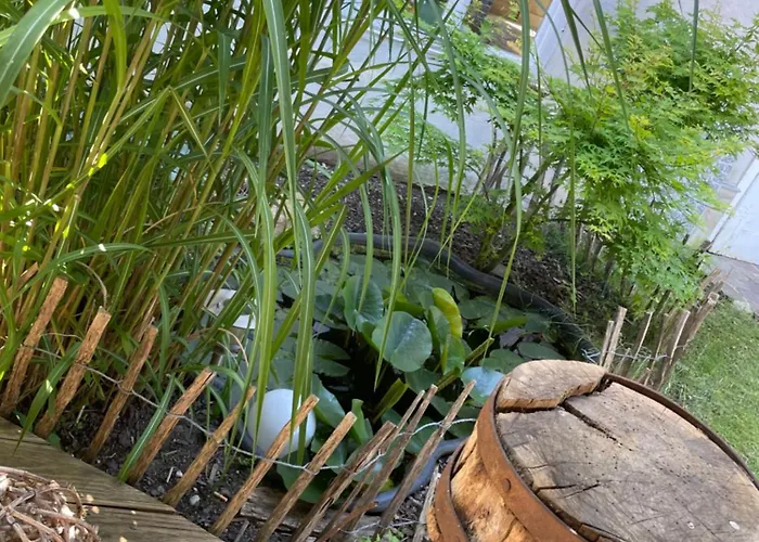 Schrammi's Appartement